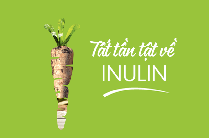 Inulin là một prebiotic có lợi đối với sức khỏe, nhất là đối với hệ tiêu hóa